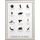 Rule The World Poster 50x70 cm