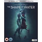 The Shape of Water (UK-import) BD