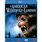 An American Werewolf In London BD