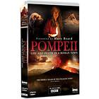 Pompeii Life And Death In A Roman Town (UK-import) DVD