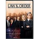 Law & Order / Lov Og Orden Sesong 14 DVD