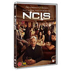 NCIS Naval Criminal Investigative Service Sesong 19 DVD