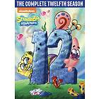 Spongebob Squarepants / Svampebob Firkant Sesong 12 DVD