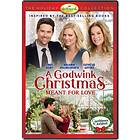 A Godwink Christmas: Meant For Love DVD