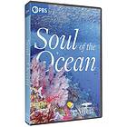 Soul Of The Ocean