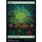 Dominaria United: Forest