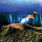 Malihini: Hopefully Again LP
