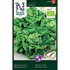 Lord Nelson Sallat Huvud-Dynamite Organic