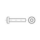 Toolcraft TO-5379639 Skruv linsformat huvud M2 12 mm Stjärnformad ISO 14583 Rostfritt stål A2 1000 st