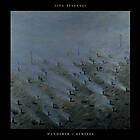 Beshevli Ilya: Wanderer Remixes LP