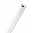 Osram Lumilux T8 ES 4200lm 3000K G13 51W