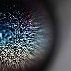 Emptyset: Blossoms (Ltd)