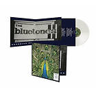 Bluetones: Expecting To Fly (25th Anniversary)