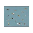 Fine Little Day Swimmers poster 40x50 cm