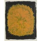 Fine Little Day Dandelion poster 40x50 cm Gul-svart