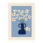 Paper Collective Flower Studies 04 (Stjärnöga) poster 30x40 cm