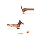 Paper Collective Doug the Dachshund poster 50x70 cm