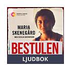 Bestulen 8 år utan mina barn Svenska AudioDownload