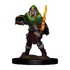 Icons of the Realms Premium Figures: Elf Fighter Male