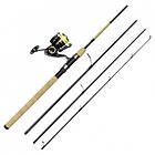 Daiwa Crossfire LT4000-C Gold Rush 10' 4pc 20-60G/0,25YL