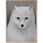 Red Fox Poster 21x30 cm
