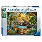 Ravensburger Leopards 1500 in the Jungle 17435