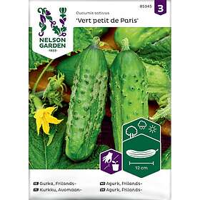 Nelson Garden Frilandsgurka Vert petit de Gurka Paris 85345