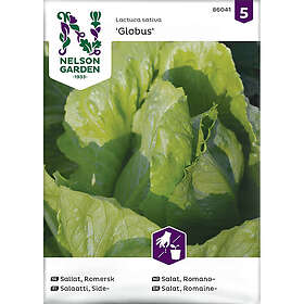 Nelson Garden Sallat 86041
