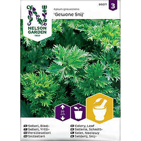Nelson Garden Frö Bladselleri Gewone Snij Selleri Blad- 86071