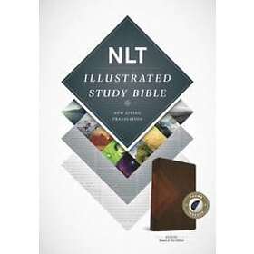 : NLT Illustrated Study Bible Tutone Brown/Tan, Indexed