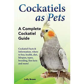 Lolly Brown: Cockatiels as Pets: Cockatiel Facts & Information, where to buy, health, diet, lifespan, types, breeding, fun facts and more! A