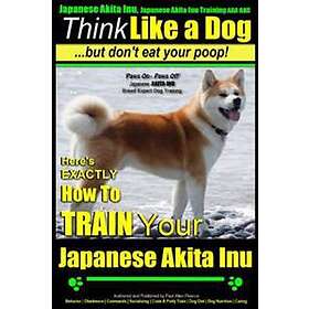 Akita inu hot sale pris