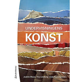 Joakim Öberg, Ylva Lindberg, Linda Baccstig, Radu Harald Dinu, Johannes Heuman: Undervisningens konst