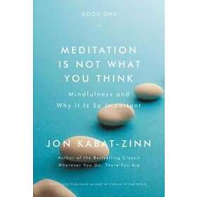 Jon Kabat-Zinn: Meditation Is Not What You Think