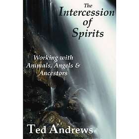 Ted Andrews: Intercession of Spirits