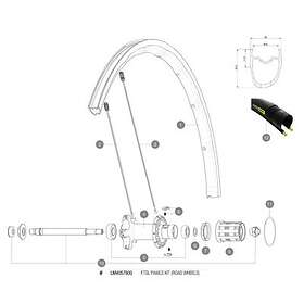 Mavic Pawls For Fts-l Freehub Svart