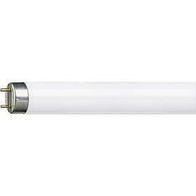 Fluorescent lamp