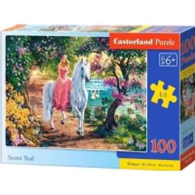 Castorland Puzzle 100 Secret Trail CASTOR B-111114