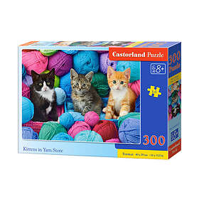 Castorland 300 Bitar