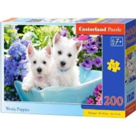 Castorland 200 Westie valpar