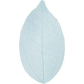 Creativ Company Skelettblad 20-pack Skelettblad, ljusblå, L: 6-8 cm, 20 st./ 1 f