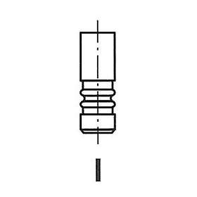 Freccia Utloppsventil R6448/BMARNT