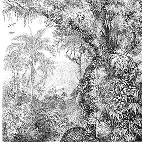 ESTAhome Fototapet Djungel Svart/Vit fototapet djungel svart och vitt EW158945