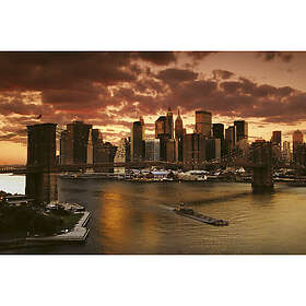 York New York 0002