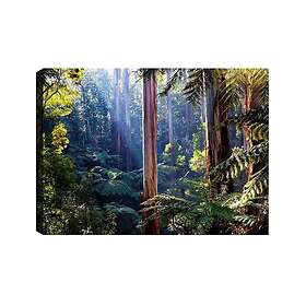 Väggdekor Canvas Målning 529TCR1638