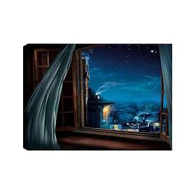 Väggdekor Canvas Målning 529TCR1704