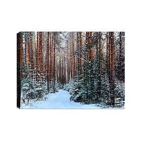 Väggdekor Canvas Målning 529TCR1923