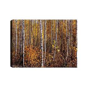 Väggdekor Canvas Målning 529TCR1798