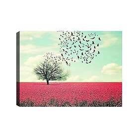 Väggdekor Canvas Målning 529TCR1846