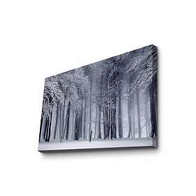 Väggdekor Canvas Målning 887GLR1266